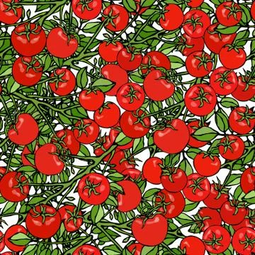 Seamless Pattern of Bunch Cherry Tomatoes on a Branch With Leaves. Botanical  Stock Illustration