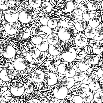 Seamless Pattern of Bunch Cherry Tomatoes on a Branch With Leaves. Botanical  스톡 일러스트