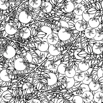 Seamless Pattern of Bunch Cherry Tomatoes on a Branch With Leaves. Botanical  스톡 일러스트
