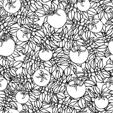 Seamless Pattern of Bunch Cherry Tomatoes on a Branch With Leaves. Botanical  Stock Illustration