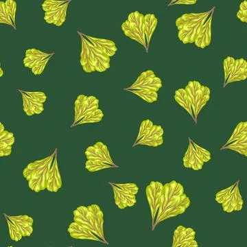 Seamless pattern bunch mangold salad on teal background. Modern ornament with Illustrazione stock