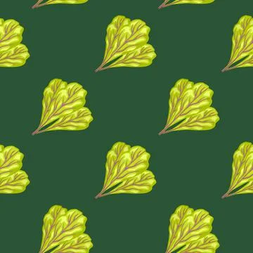Seamless pattern bunch mangold salad on green background. Modern ornament wit Stock Illustration