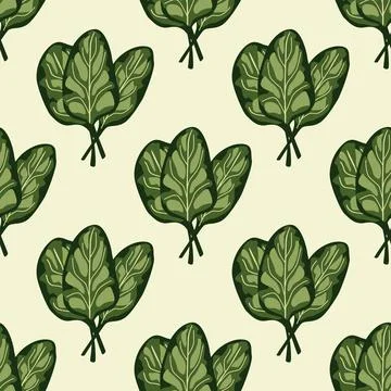Seamless pattern bunch spinach salad on beige background. Simple ornament wit Stock Illustration