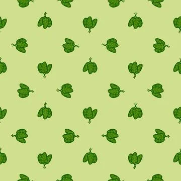 Seamless pattern bunch spinach salad on light green background. Minimalistic  스톡 일러스트