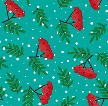 Seamless pattern with bunches of rowan berries on a white background. Vector  Stock Illustration