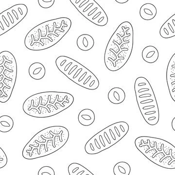 Seamless pattern with buns, loafs. Stock-Illustration