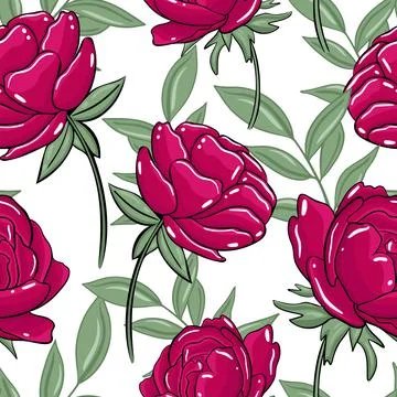 Seamless pattern with burgundy peonies. Vector, peony. Stock Illustration