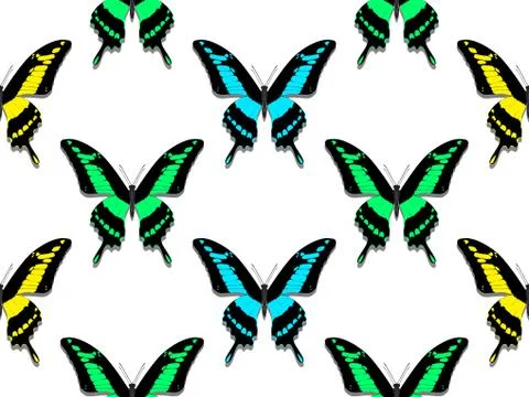 Seamless pattern, butterflies of all colors of the rainbow Illustrazione stock