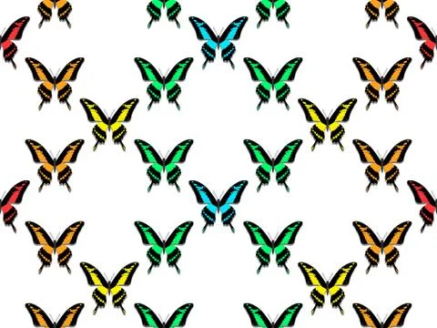 Seamless pattern, butterflies of all colors of the rainbow Illustrazione stock
