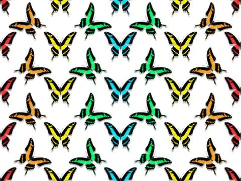 Seamless pattern, butterflies of all colors of the rainbow Illustrazione stock
