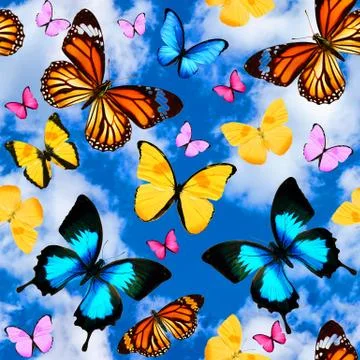 Seamless pattern with butterflies on a background of blue sky with clouds Stockfoto's