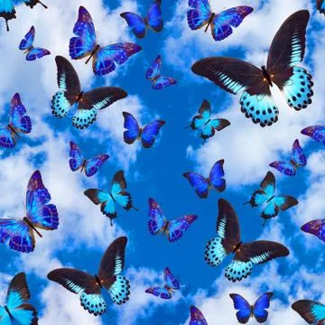 Seamless pattern with butterflies on a background of blue sky with clouds Foto stock
