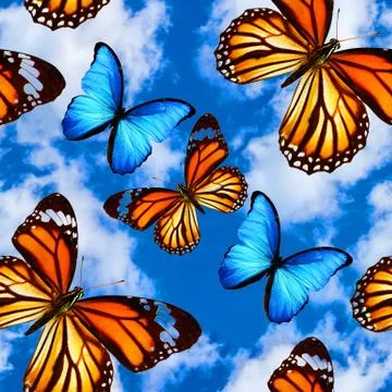 Seamless pattern with butterflies on a background of blue sky with clouds Stock Photos