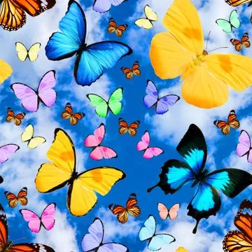 Seamless pattern with butterflies on a background of blue sky with clouds Foto stock
