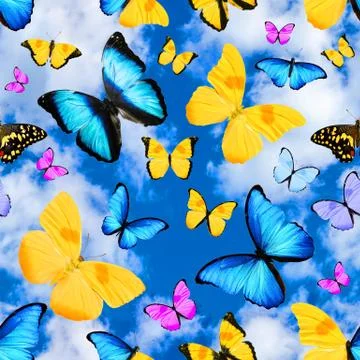 Seamless pattern with butterflies on a background of blue sky with clouds Stock Photos