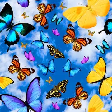 Seamless pattern with butterflies on a background of blue sky with clouds Foto stock
