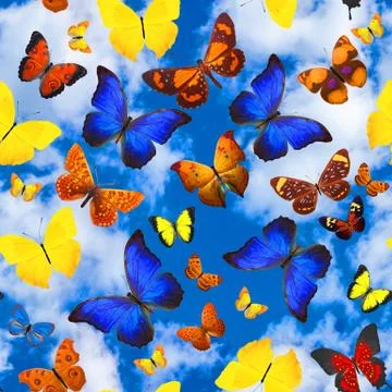 Seamless pattern with butterflies on a background of blue sky with clouds Stock Photos
