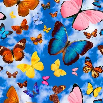 Seamless pattern with butterflies on a background of blue sky with clouds Stockfoto's