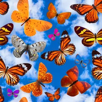 Seamless pattern with butterflies on a background of blue sky with clouds Stock Photos