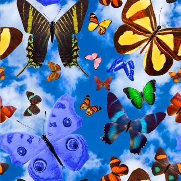 Seamless pattern with butterflies on a background of blue sky with clouds Stock Photos