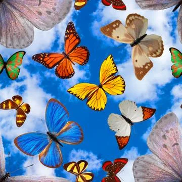 Seamless pattern with butterflies on a background of blue sky with clouds Foto stock