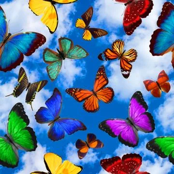 Seamless pattern with butterflies on a background of blue sky with clouds Foto stock