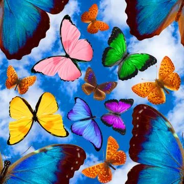 Seamless pattern with butterflies on a background of blue sky with clouds Foto stock