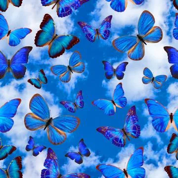 Seamless pattern with butterflies on a background of blue sky with clouds Stock Photos