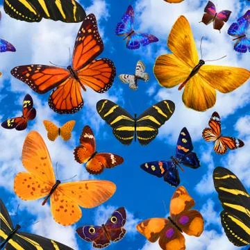 Seamless pattern with butterflies on a background of blue sky with clouds Stock Photos