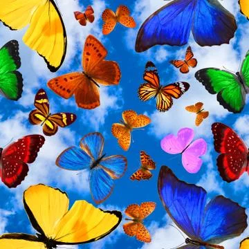 Seamless pattern with butterflies on a background of blue sky with clouds Stock Photos