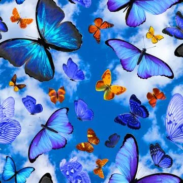 Seamless pattern with butterflies on a background of blue sky with clouds Stock Photos