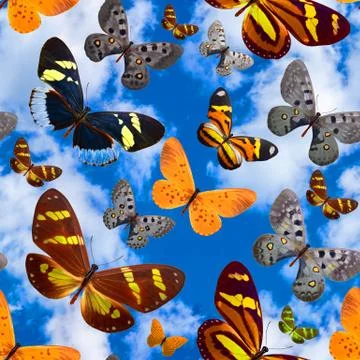 Seamless pattern with butterflies on a background of blue sky with clouds Foto stock