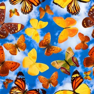 Seamless pattern with butterflies on a background of blue sky with clouds Foto stock