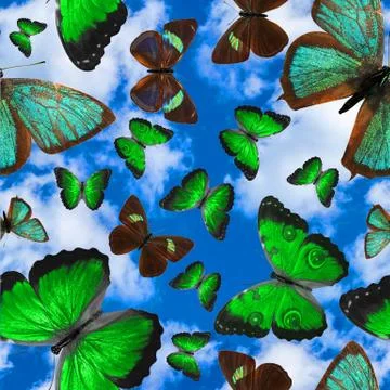 Seamless pattern with butterflies on a background of blue sky with clouds Stock Photos