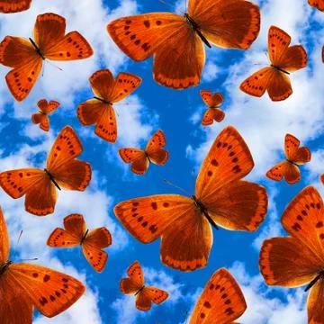 Seamless pattern with butterflies on a background of blue sky with clouds Stock Photos