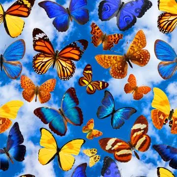Seamless pattern with butterflies on a background of blue sky with clouds Foto stock
