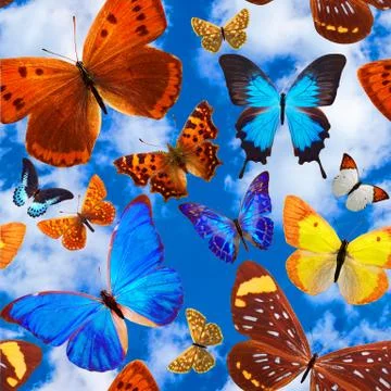 Seamless pattern with butterflies on a background of blue sky with clouds Stock Photos