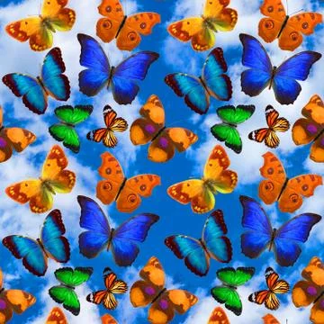Seamless pattern with butterflies on a background of blue sky with clouds Stock Photos