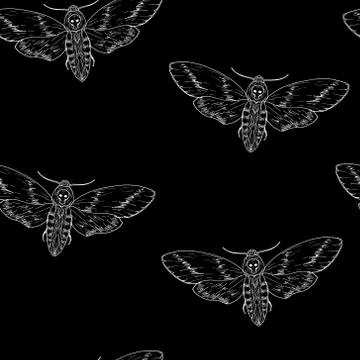 Seamless pattern of butterflies. Death's head moth. Vector background. Stock Illustration
