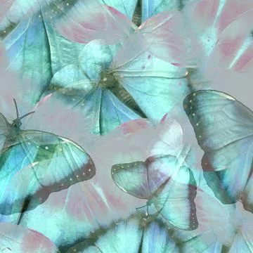 Seamless Pattern With Butterflies Stock Illustration