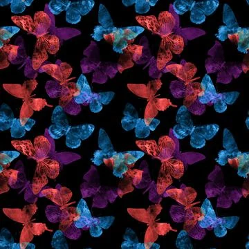 Seamless pattern with butterflies isolated on a black background Illustrazione stock