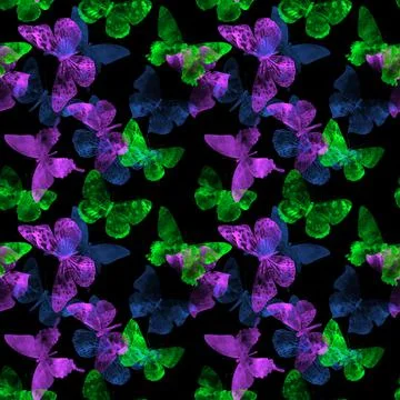 Seamless pattern with butterflies isolated on a black background Illustrazione stock