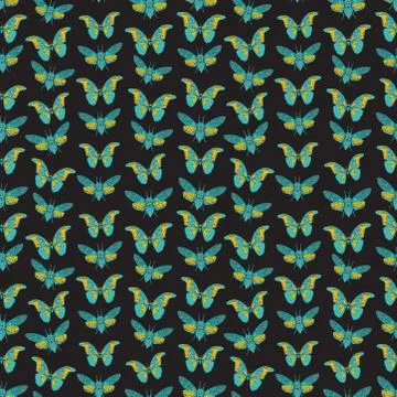 Seamless pattern with butterfly cicadas sketch, yellow orange olive green blu Illustrazione stock