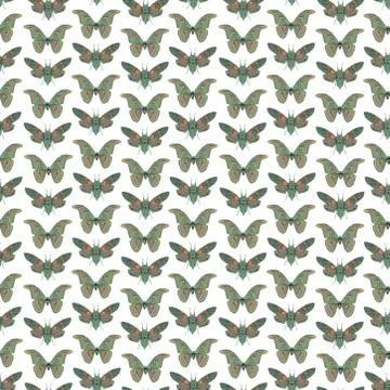 Seamless pattern with butterfly cicadas sketch, orange olive green gray and b Illustrazione stock
