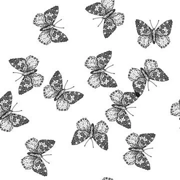 Seamless pattern butterfly sketch hand drawn Stock Illustration