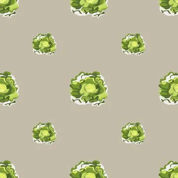 Seamless pattern Butterhead salad on light brown background. Simple ornament  Stockillustratie
