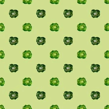Seamless pattern Butterhead salad on light green background. Minimalistic orn Stock Illustration