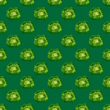 Seamless pattern Butterhead salad on teal background. Minimalistic ornament w Stock Illustration