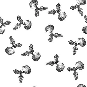 Seamless pattern cabbage kohlrabi green sketch hand drawn Stock Illustration