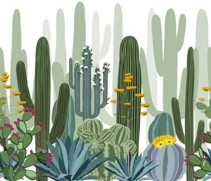 Seamless pattern with cactus, agave, and opuntia. Stock Illustration